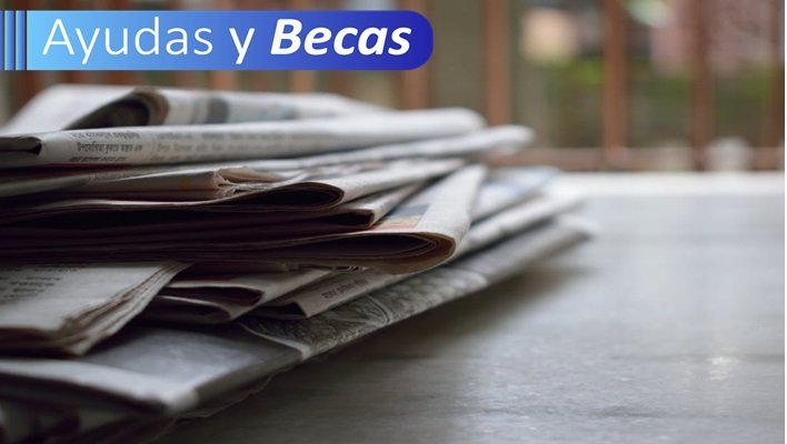 Curso online [Seminario sobre periodismo político] 3