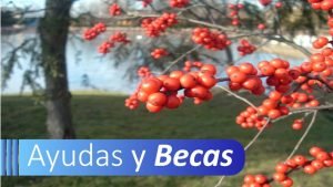 curso de creación de vinos