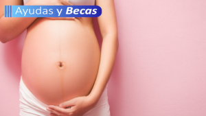 licenciatura de obstetricia